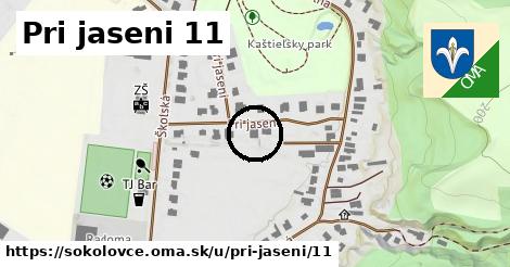 Pri jaseni 11, Sokolovce