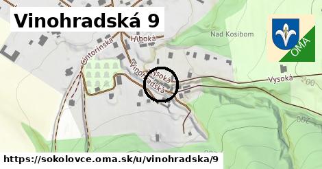 Vinohradská 9, Sokolovce