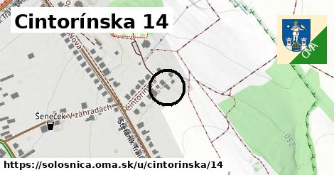 Cintorínska 14, Sološnica