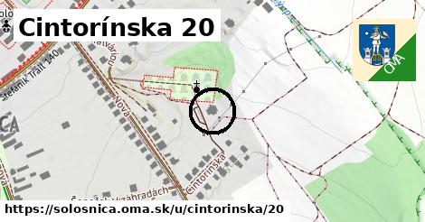 Cintorínska 20, Sološnica