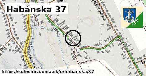 Habánska 37, Sološnica