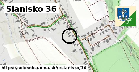 Slanisko 36, Sološnica