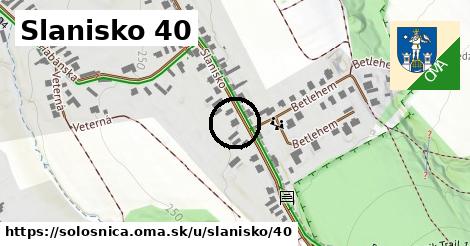 Slanisko 40, Sološnica