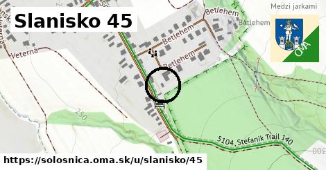 Slanisko 45, Sološnica