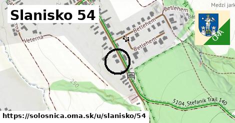 Slanisko 54, Sološnica