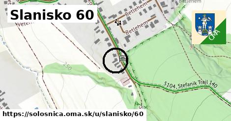 Slanisko 60, Sološnica