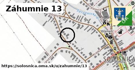 Záhumnie 13, Sološnica