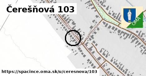 Čerešňová 103, Špačince