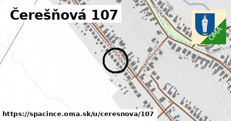 Čerešňová 107, Špačince