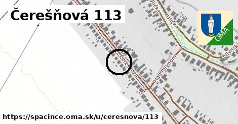 Čerešňová 113, Špačince