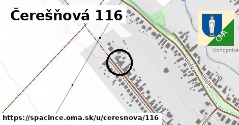 Čerešňová 116, Špačince