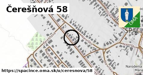 Čerešňová 58, Špačince