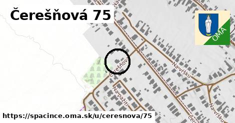 Čerešňová 75, Špačince