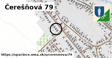 Čerešňová 79, Špačince