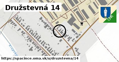 Družstevná 14, Špačince