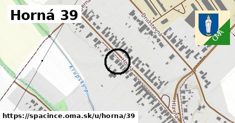 Horná 39, Špačince