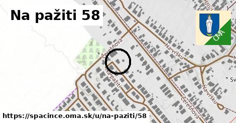 Na pažiti 58, Špačince