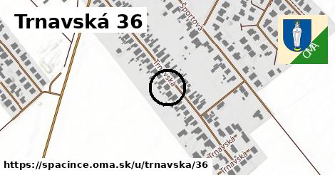 Trnavská 36, Špačince