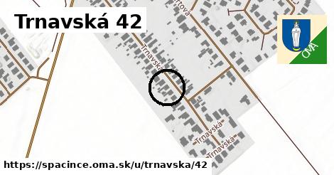 Trnavská 42, Špačince