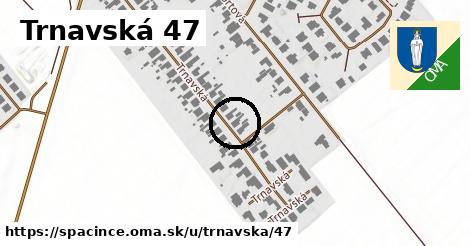 Trnavská 47, Špačince