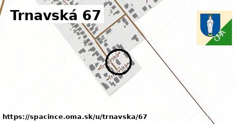 Trnavská 67, Špačince