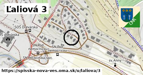 Ľaliová 3, Spišská Nová Ves