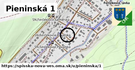 Pieninská 1, Spišská Nová Ves