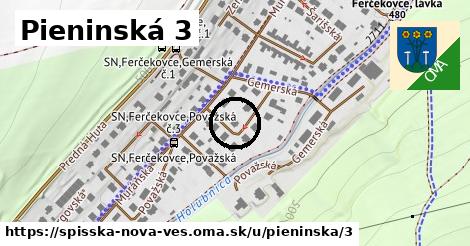 Pieninská 3, Spišská Nová Ves