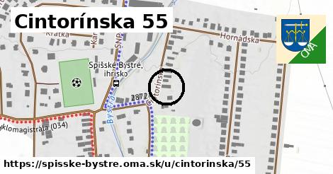 Cintorínska 55, Spišské Bystré