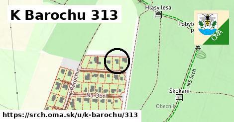 K Barochu 313, Srch