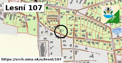 Lesní 107, Srch