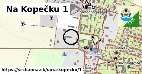 Na Kopečku 1, Srch