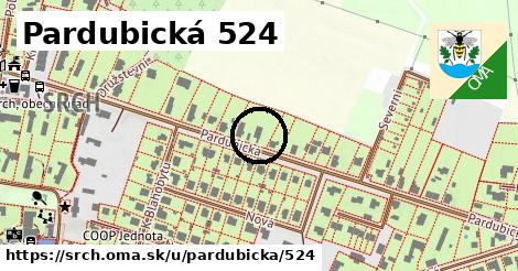 Pardubická 524, Srch