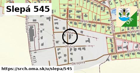 Slepá 545, Srch