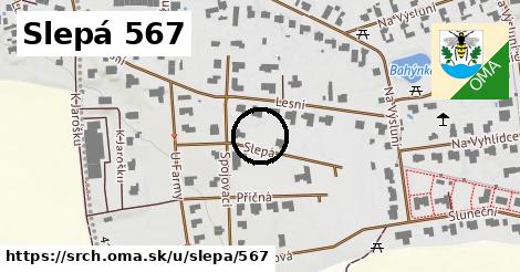 Slepá 567, Srch