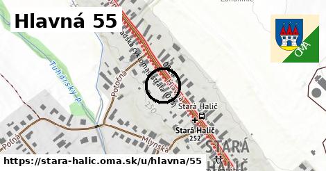 Hlavná 55, Stará Halič