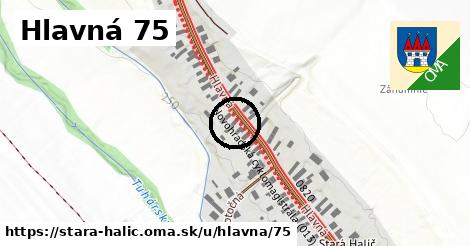 Hlavná 75, Stará Halič