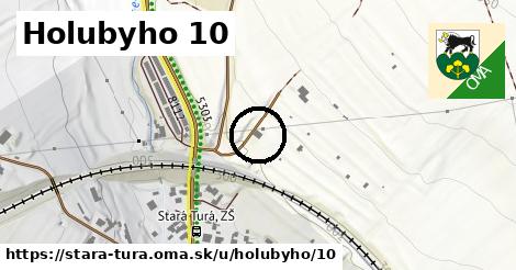 Holubyho 10, Stará Turá