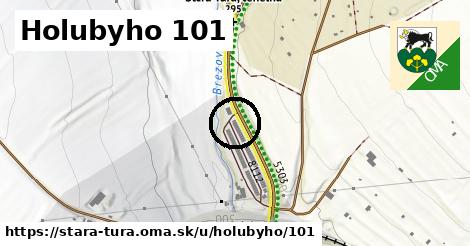 Holubyho 101, Stará Turá