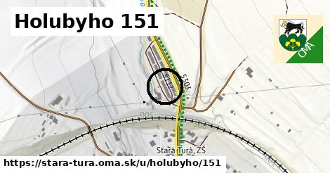 Holubyho 151, Stará Turá