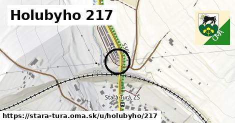 Holubyho 217, Stará Turá