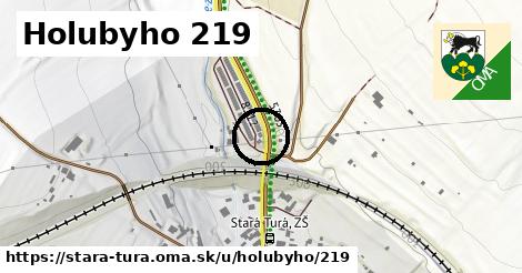 Holubyho 219, Stará Turá