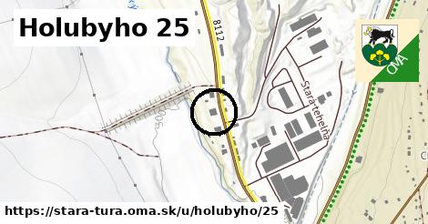 Holubyho 25, Stará Turá