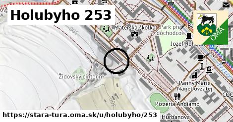 Holubyho 253, Stará Turá