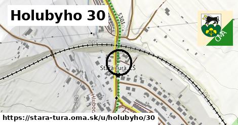 Holubyho 30, Stará Turá