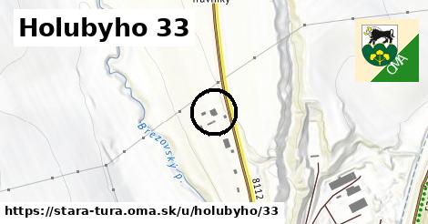 Holubyho 33, Stará Turá