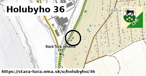 Holubyho 36, Stará Turá