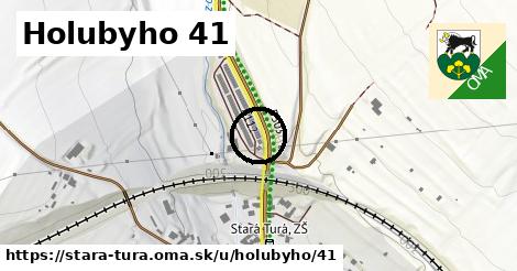 Holubyho 41, Stará Turá