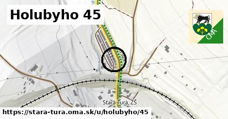 Holubyho 45, Stará Turá