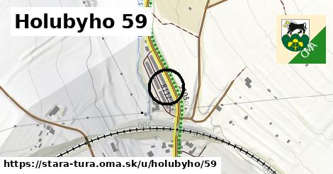 Holubyho 59, Stará Turá